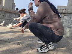 -天津妈祖文化园