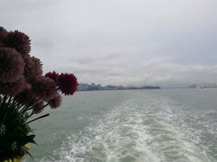 -国际邮轮中心码头(厦鼓码头)