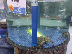 -欢乐海岸美食联盟