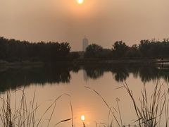 -永定河休闲森林公园