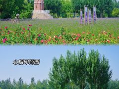 -渔岛海洋度假区