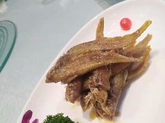 -金米箩大酒店(五角场店)