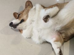 -平行世界·猫咖(首经贸店)