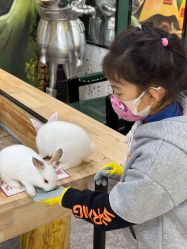 -神奇动物撸宠馆·羊驼·小浣熊·异宠(豫园店)