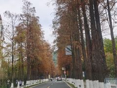 -滨海公园