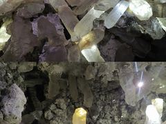 -湖南省地质博物馆