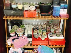 -中环花鸟鱼虫市场