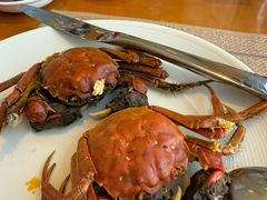 -视界美食自助餐厅·石家庄希尔顿酒店