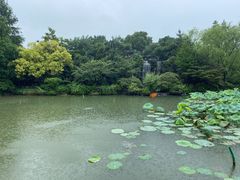 -杭州西子湖四季酒店·金沙厅
