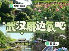 -黄陂区野村谷景区