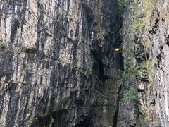 -鹿院坪生态旅游景区