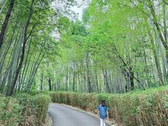 -天目湖涵田度假村
