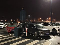 -迪士尼乐园停车场
