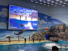 -福州罗源湾海洋世界旅游区