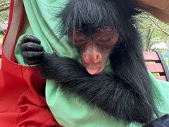 -水上乐园·欢乐世界