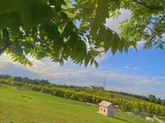 -紫颐香薰山谷景区