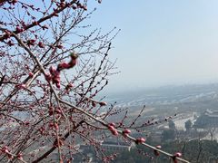 -北京凤凰岭