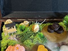 -同仁堂粹和餐厅·食养养生宴(新大都店)