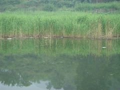 -太行锡崖沟旅游度假区