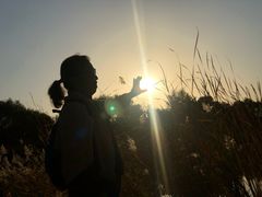 -永定河休闲森林公园