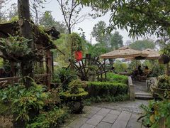 -青城甲(青城山店)