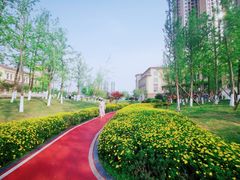 -府河摄影公园