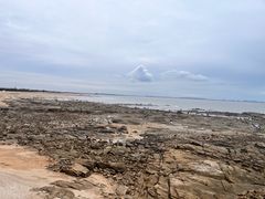-日照海滨国家森林公园