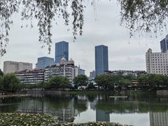 -宝岛公园