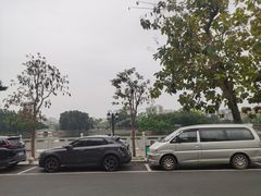 -OLD TREE老树咖啡·西餐厅(台山人工湖店)