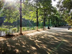 -中山市树木园