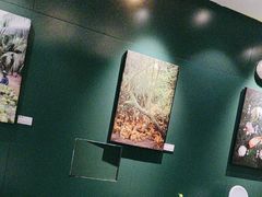 -烹然四季椰子鸡火锅(姚家园万象汇店)