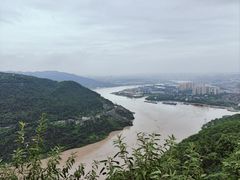 -铁山坪森林公园