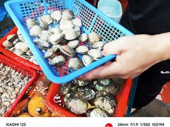 -船奇蒸汽海鲜·闽菜(八市海鲜总店)