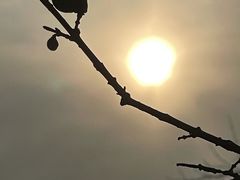 -济南南郊宾馆
