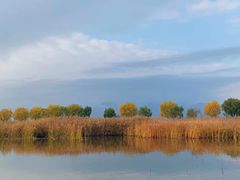 -野鸭湖国家湿地公园