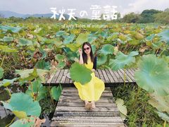 -长兴太湖图影湿地文化园