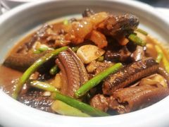 -金锅小厨(乐活街店)