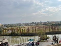 -江门古劳水乡旅游区