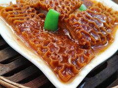 -点都德·毕德寮