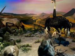 -国家自然博物馆