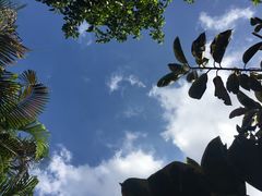 -佛山祈福仙湖酒店