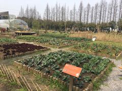 -前小桔亲子创意农场·草莓采摘·露营烧烤