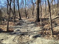 -阳台山自然风景区