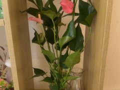 -岚魅儿·洗头头疗·按摩SPA(金光华店)