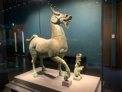 -广西壮族自治区博物馆