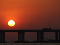 -宝安西湾红树林湿地公园