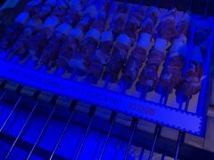 -很久以前羊肉串(打浦路店)