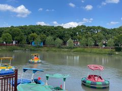 -嘉北郊野公园
