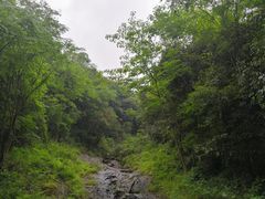 -燕子河大峡谷天坑仙境