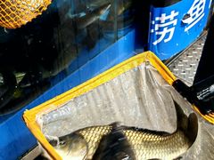 -盒马鲜生(丁香国际店)